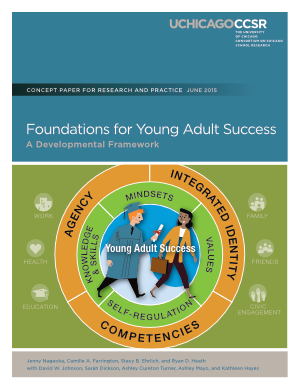 Foundations for Young Adult Success: Executive Summary
