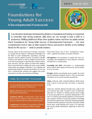 Foundations for Young Adult Success: Brief
