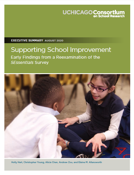 Supporting School Improvement: Executive Summary