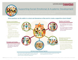 Supporting Social, Emotional, & Academic Development: Research Implications for Educators